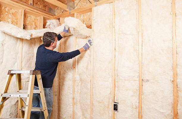 Best Insulation for Existing Homes  in Glenwood Springs, CO